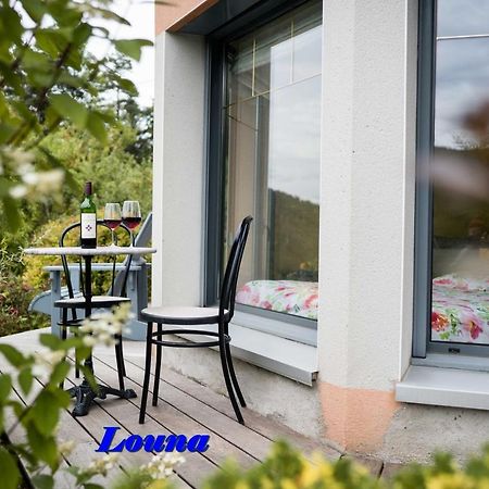 Appartements 5 Personnes Maya Et Louna 克松吕-隆日梅 外观 照片