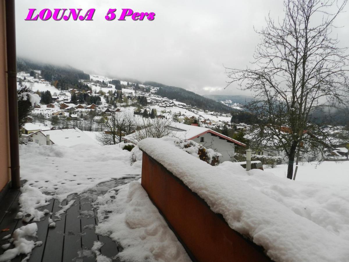 Appartements 5 Personnes Maya Et Louna 克松吕-隆日梅 外观 照片